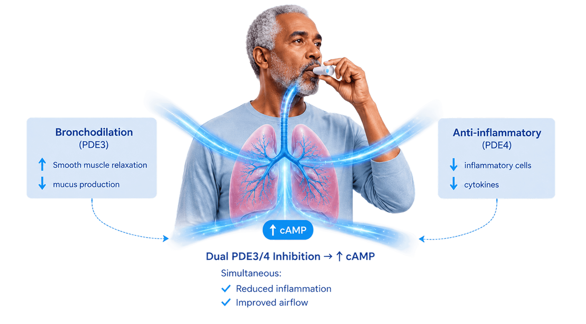 Diagram of a man with a dual PDE3/4 inhibitor for COPD
